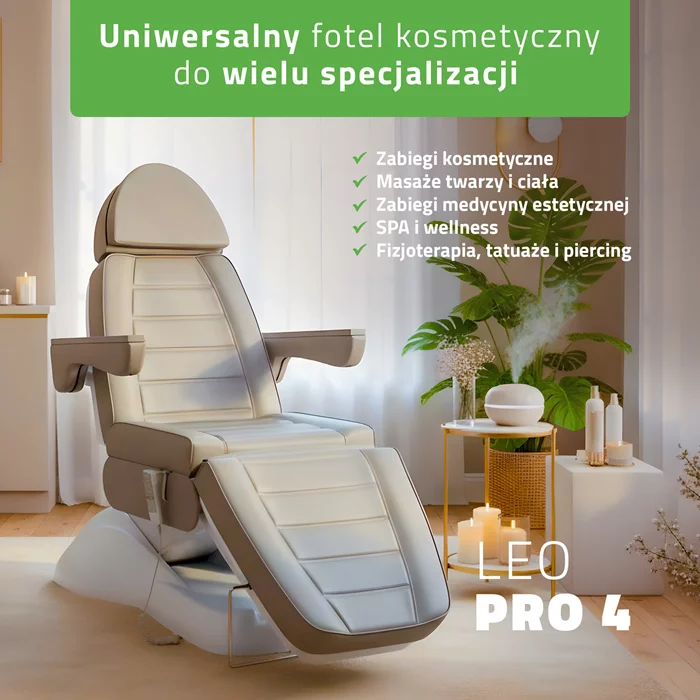 Fotel kosmetyczny szary - Leo PRO 4