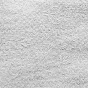 Chusteczki kosmetyczne BIO-EKO 25x20 (100szt)