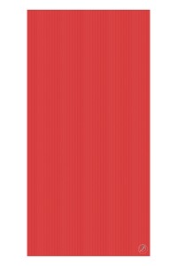 Mata gimnastyczna TB (200 x 100 x 2,5 cm)